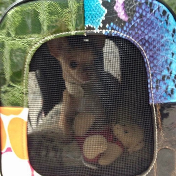 Meet your Posher, Michelle - Picture 7 of 9